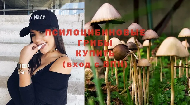 Псилоцибиновые грибы Psilocybe  дарнет шоп  Подпорожье 